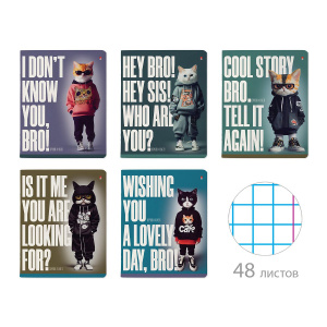 Тетрадь А5 48л кл. Альт "AI cat" УФ-лак