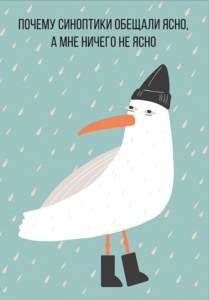 Обложка на паспорт ПВХ "Чайка"