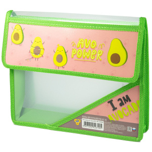 Папка д/тетрад. А5 (230*190*50) 2отд. на липучке, пластик "Super avocado"