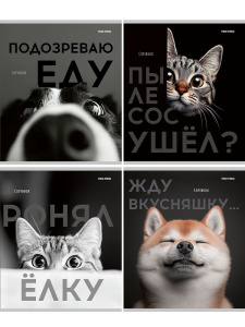 Тетрадь А5 48л кл. Проф-Пресс "Домашние животные и смешные фразы" глиттер