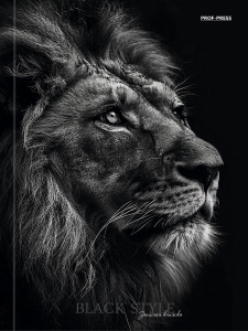 Блокнот А5 7БЦ  80л "Фотопортрет льва" клетка, глянц.лам.