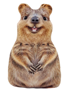 Игрушка антистресс 36см "Квокка"