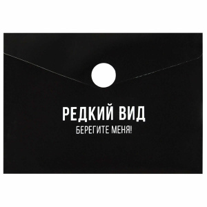 Конверт на кнопке  с рисунком 105*74мм, Фразы с характером