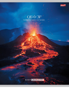 Тетрадь предметная А5 ОБиЗР "Гармония" 36л, кл., обл.мел.бум., белизна 100%