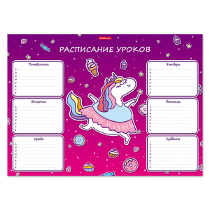 Расписание уроков А3 "Единорожка"