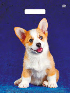 Пакет 40*31см (60мк) с вырубной укрепл. ручкой "Корги" Глянец ПВД