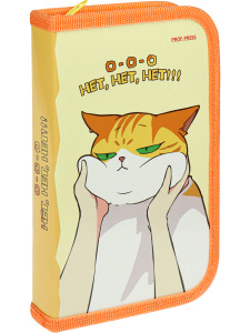 Пенал 1 отд. с 1-ой откид.пл. (190*115*30) молния, лам.картон "Недовольный кот"