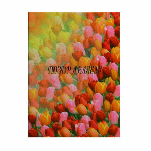 Папка Адресная А4 ламинированная "Поздравляем"