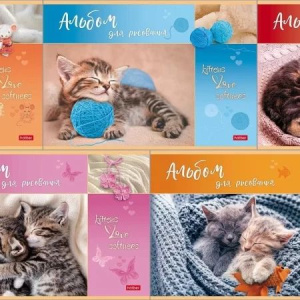 Альбом А4 16л скоба "Мяу-Котики"  пл. 100 гр/м*