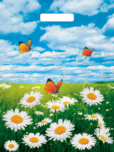 Пакет 40*31см (60мк) с вырубной укрепл. ручкой "Бабочки и ромашки" Глянец ПВД