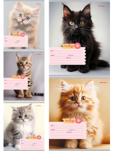 Тетрадь А5 18л кл. Проф-Пресс "Фото котиков" 5 диз.в спайке, белизна 100%