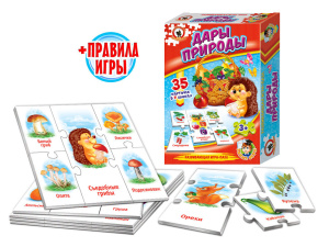 Игра обучающая Умные игры "Дары природы" 40 карточек 3+