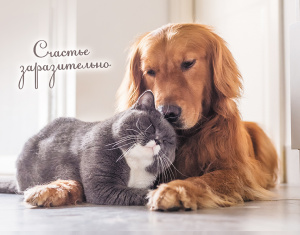 Календарь Трио  295*720мм на 2026г.  Счастье