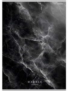 Тетрадь А4  48л кл. скоба Проф-Пресс "Черный мрамор" (203*273мм)