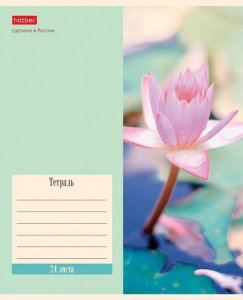 Тетрадь А5 24л лин. Hatber "Flowers" 5диз.в блоке, белизна 98%