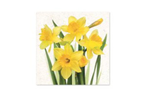 Салфетка "Цветы нарцисса" 33*33см, 20 шт.