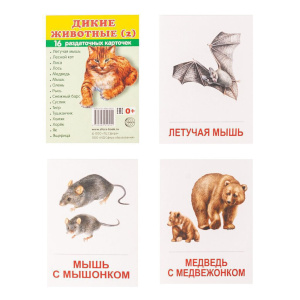 Картинки демонстративные "Дикие животные-2" набор 16 шт. 63*87 мм