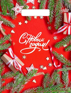 Пакет 30*23см (30мк) с вырубной ручкой "Цвет Нового года" ПВД