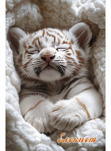 Блокнот А6  32л скоба "Тигренок" клетка