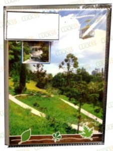 Фотоальбом 200 фото 10*15см Сочи Дендрарий