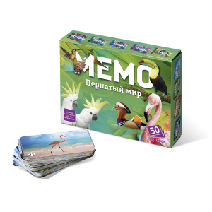 Игра Мемо "Пернатый мир"  (50 карточек)