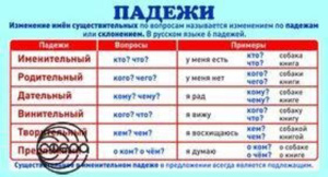 Карточка обучающая Падежи  110х205 мм
