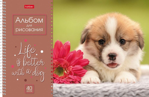 Альбом А4 40л гребень "Doggie-Щенки" пл. 100 гр/м, перфорация, ассорти
