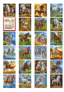 Календарь настенный  80*160мм на 2026г. отрывной МИНИ  Год Лошади