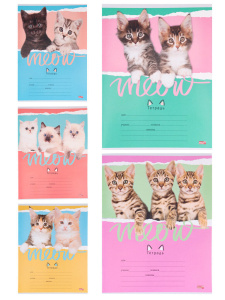 Тетрадь А5 12л лин. Проф-Пресс "Друзья-котята-2" 5 диз.в спайке*