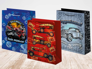 Пакет подар. бумажн. 18*23*10 см, 157гр/м2  Микс мужской