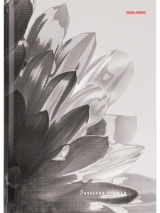 Блокнот А5 7БЦ  80л "Макросъемка" глянц.лам., лен+серебро