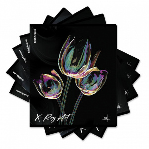 Тетрадь А5  96л кл. Erich Krause "X-Ray Art" голографическая ламинация MIX-PACK