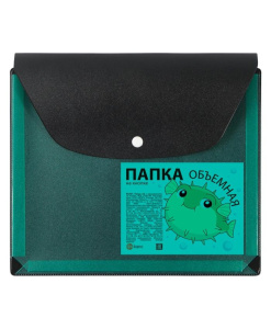 Конверт на кнопке 228*188мм, ПВХ, расширение до 2,5см (250 л),черный/пр.зеленый