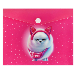Конверт на кнопке  с рисунком А6 (170*140мм) Босс шпиц