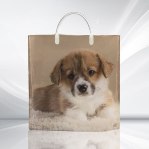 Пакет 35*36см (85мк) с пластиковой ручкой "Мой дружок" ПВД