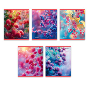 Тетрадь А5 48л кл. Светоч "На рассвете" глянц.лам.