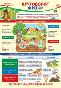 Плакат 23*42см "Окружающий мир в начальной школе. Круговорот жизни"