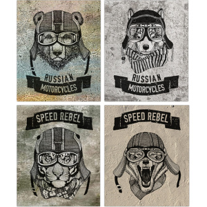 Тетрадь А5 48л кл. Полином "Байкеры"