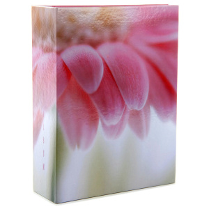 Фотоальбом 304 фото 10*15см Golden bug 2