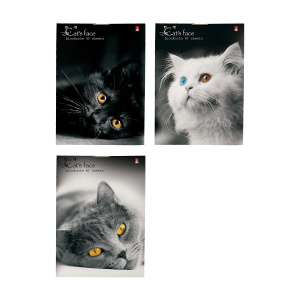 Блокнот А7  40л скоба "Кошки" клетка, ассорти