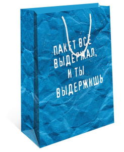 Пакет подар. бумажн. 18*23*10 см, 130гр/м Выдержишь