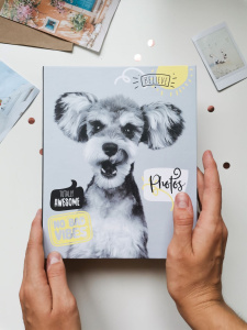 Фотоальбом 200 фото 10*15см Fluffy pets. Гав, пластик.стр.