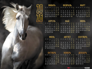Календарь настенный листовой  598*450мм на 2026г.  Год Лошади