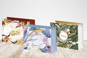 Пакет подар. бумажн. 23*18*10см, 140гр/м Микс женский