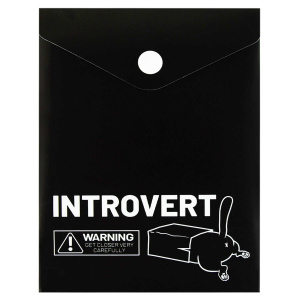 Конверт на кнопке  с рисунком А6 (158*114мм) Интроверт