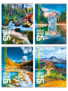 Тетрадь А5  96л ЛИН. Проф-Пресс "Захватывающие виды - 1" 4диз.в коробке, белизна 92%