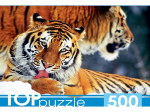 Пазлы  500 элементов  480*340мм. "Два тигра"