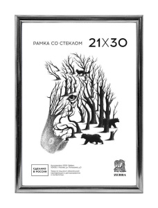 Фоторамка пластик 21*30 №513 (Серебрянная)