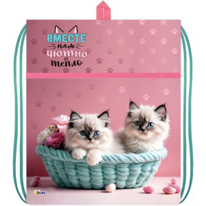 Мешок для обуви 1 отд, 410*490, карман "Пушистые котята"