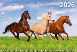 Календарь Трио  310*680мм на 2026г.  Год Лошади. Вид 4